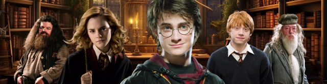 WhatsApp Einladung Harry Potter Party