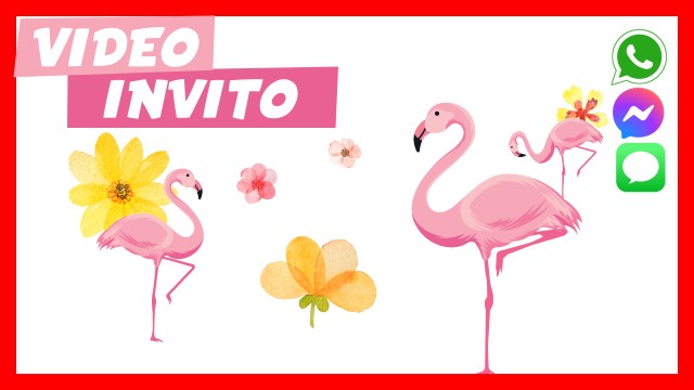 Invito Whatsapp Baby Shower Fenicotteri