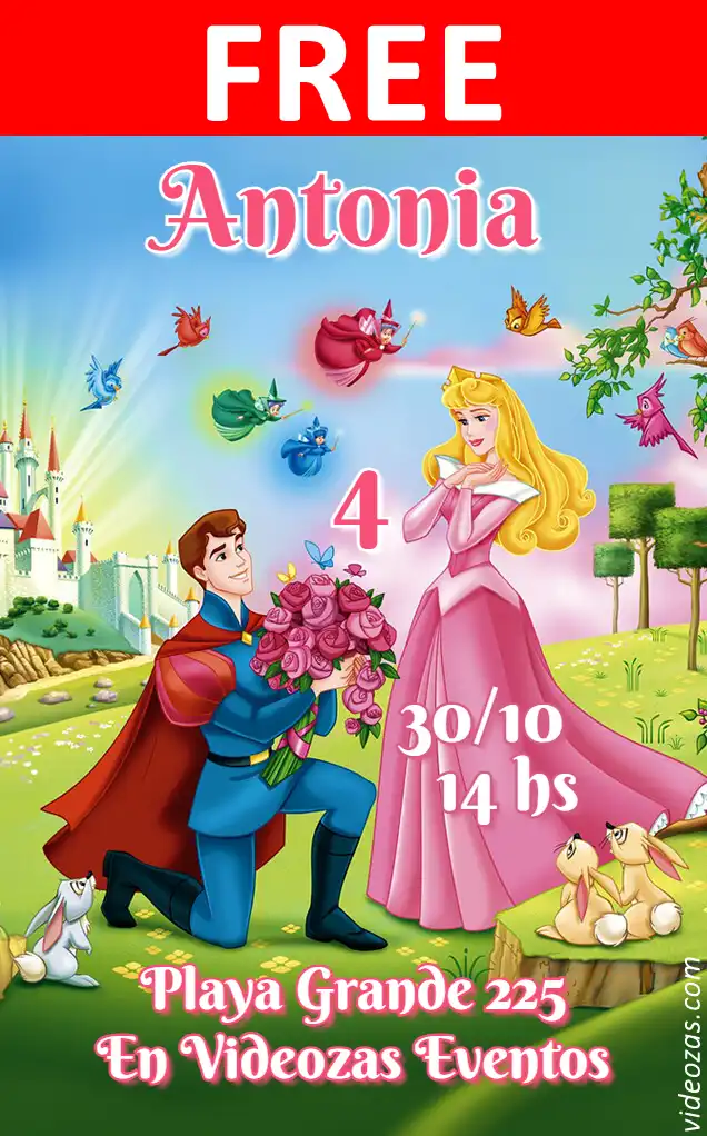 Free personalized birthday invitation aurora 04